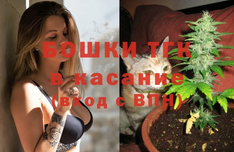 купить  сайты  Жуков  Конопля SATIVA & INDICA 